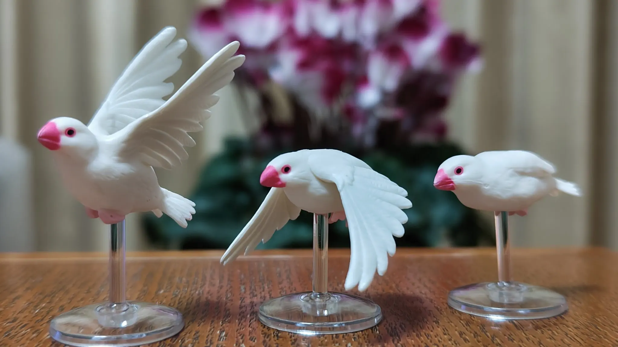 Tarlin 캡슐 장난감, 귀여운 카와이 자바 스패로우 - Capsule Toy Gashapon 리뷰 및 가격
